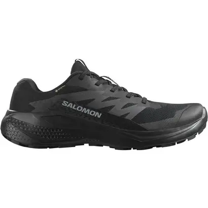 αδιάβροχα παπούτσια Salomon Alphaglide Gtx μαύρα εξωτερική όψη
