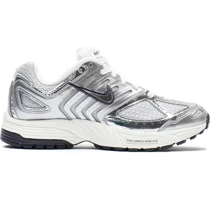 γυναικεία sneakers Nike Air Pegasus 2005 ασημί εξωτερική όψη