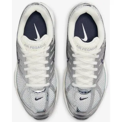 γυναικεία sneakers Nike Air Pegasus 2005 ασημί θέαση από πάνω