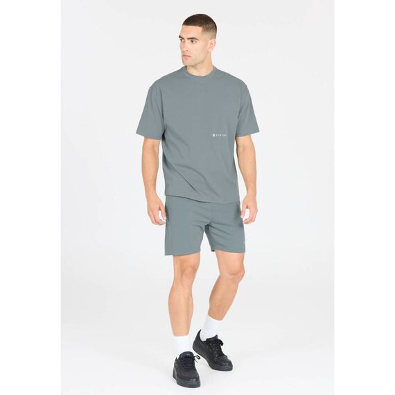 ανδρικό βαμβακερό t-shirt Virtus Josephy γκρι μοντέλο μπροστά όψη ανδρικό βαμβακερό t-shirt Virtus Josephy γκρι μοντέλο μπροστά όψη