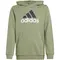 Παιδικό-Φούτερ-Adidas Essentials-Big-Logo-Λαδί-1Παιδικό-Φούτερ-Adidas Essentials-Big-Logo-Λαδί-